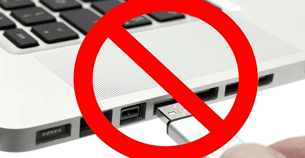 USB device trying to connect to a USB port. 