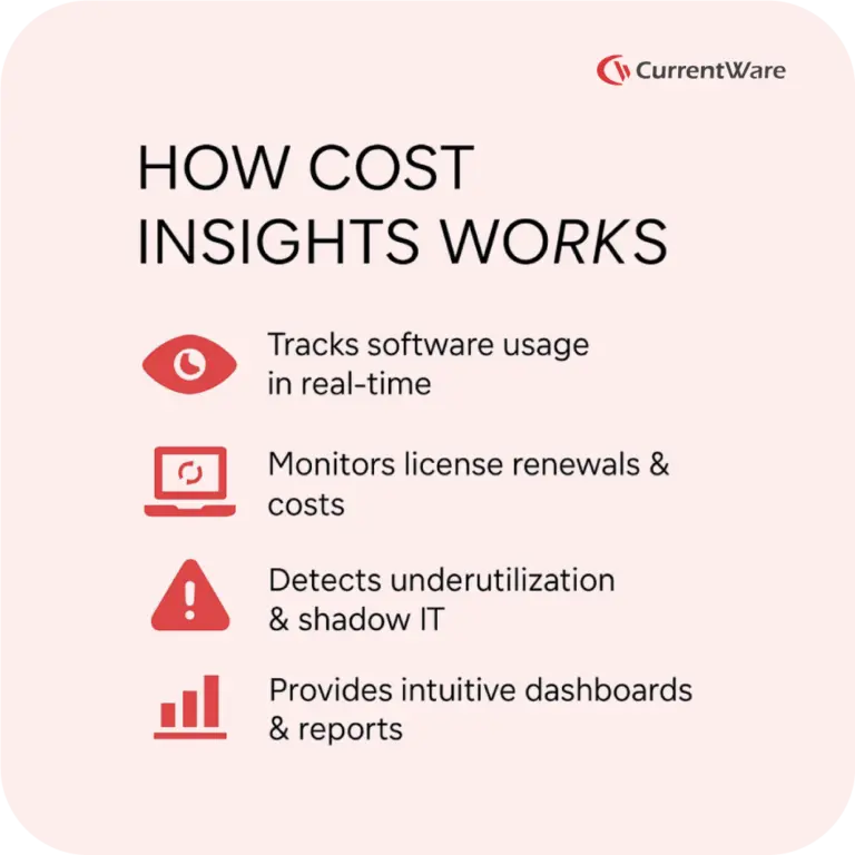 How-to-Reduce-Software-License-Costs-by-48EFBFBD-Using-Cost-Insights-03-768×768